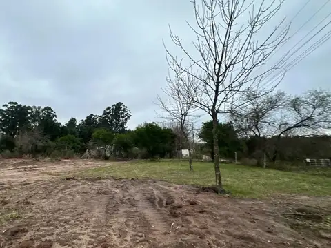 Terreno en Venta 41  mts Fondo