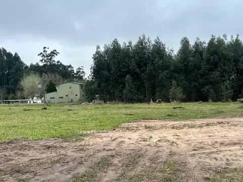 2 terrenos de 1090 m2 en Barrio El Bosque