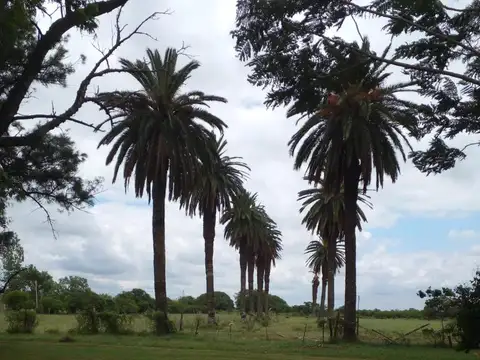 Entre Rios  al 1000