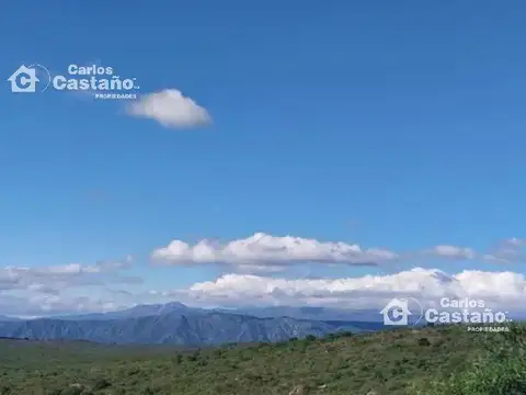 Sector Turístico y Ganadero de 180h con Casa de 3 Amb. Cerca del Rio