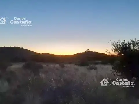 Sector Turístico y Ganadero de 180h con Casa de 3 Amb. Cerca del Rio
