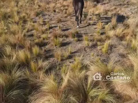 Casa en Venta 40 años