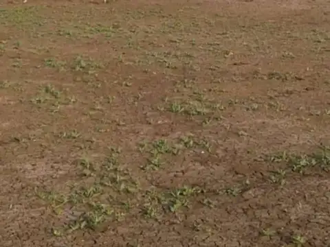 Liquidamos Ya!! 1.5has. En Zona Urdinarrain!!