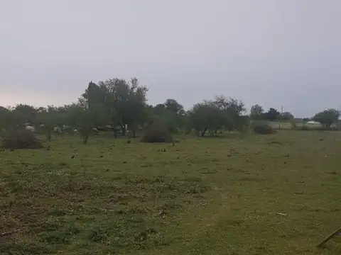 SE ESCUCHAN OFERTAS - POSIBILIDAD PERMUTA POR DPTO EN PNÁ!