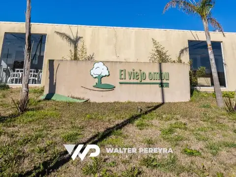 El Viejo Ombu