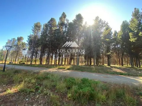 Terreno en Venta en Dina Huapi, USD 95.000