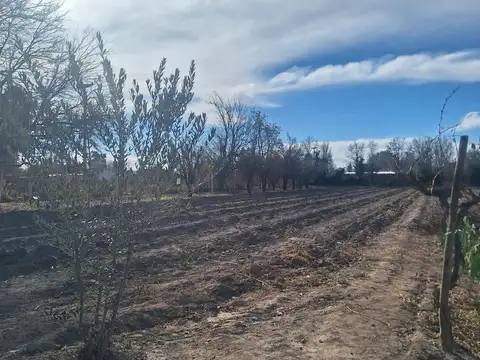 Terreno en Venta en Buen Orden, USD 15.000