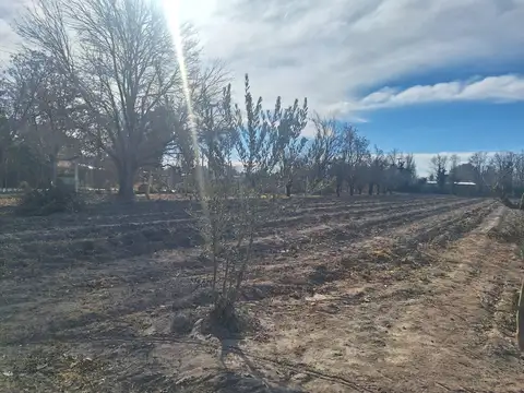 Terreno en Venta de 551,0 m2