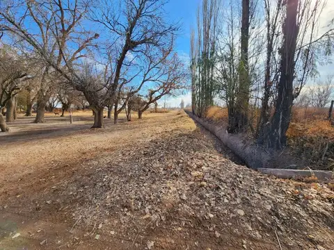 Los pastalitos (calle N° 6) Esq. Don Bosco