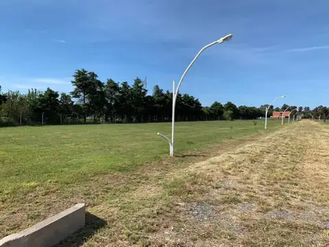 Ruta Provincial 21, KM al 200