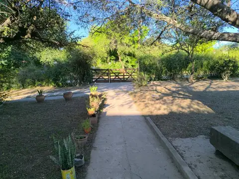 Los Robles 100