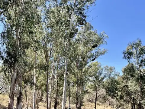 Oportunidad Venta Chacra de 22.464m2  - Villa Del Dique, Cordoba