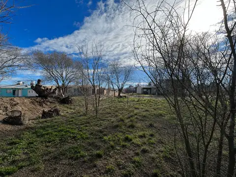 Terreno en calle Paraná Santa Rosa La Pampa