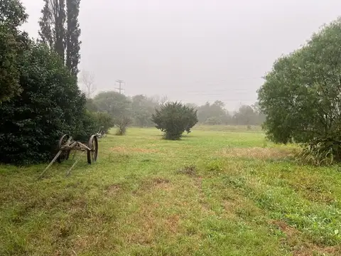 Terreno en Venta de 3195,0 m2