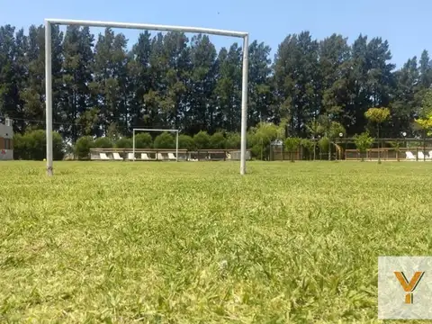 De Las Galleretas y Ciervo de las Pampas