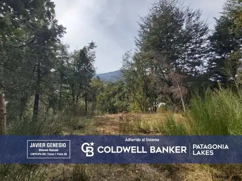 VENTA Lote/Terreno 2.400 m2 Apto 3 UF con arroyo y vista a los cerros Las Balsas, Villa La Angostura