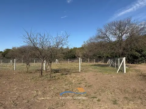 La Carolina 5700