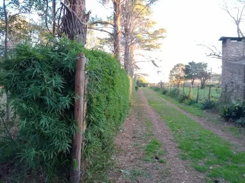 Casa Monoambiente con 1 baño