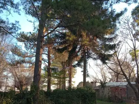Casa Quinta  en Venta en Escalada, Zárate, G.B.A. Zona Norte