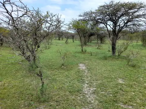 Terreno en Venta 77  mts Frente