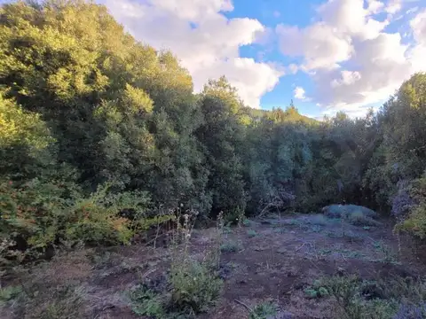 VENTA TERRENO SAN MARTIN DE LOS ANDES . OPORTUNIDAD UNICA. LOTE EN CUESTA DE SEPULVEDA