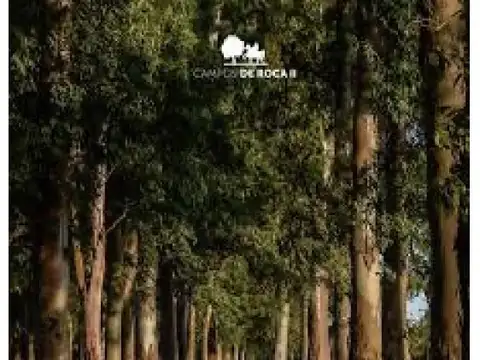 VENTA DE LOTE. CAMPO DE ROCA 2. BRANDSEN. LA PLATA