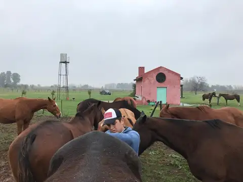 Estancia el Chajá