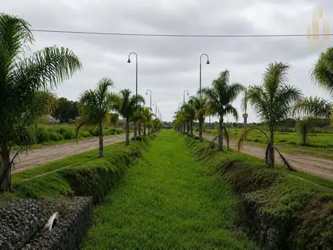 Terreno en Venta 25  mts Fondo