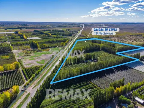 VENTA CHACRA 19 HECT FRENTE RUTA VILLA MANZANO