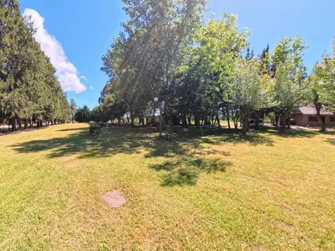 Chacras de General Lavalle