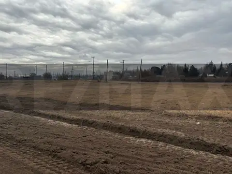 Terreno en Venta en Padre Alejandro Stefanelli, USD 21.000