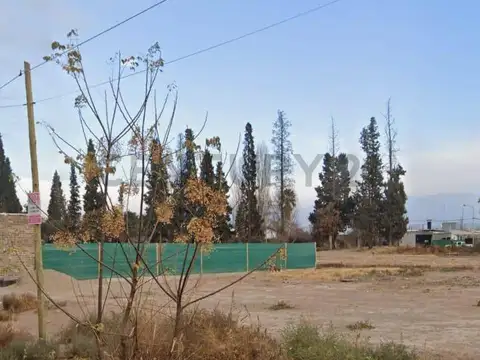 Terreno en Venta de 300,0 m2
