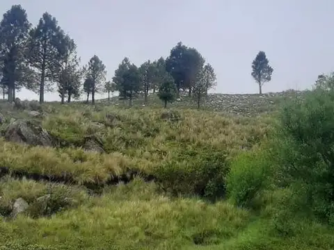 Campo en venta - 52 Ha - Córdoba