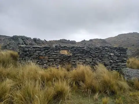 Campo en venta - 52 Ha - Córdoba