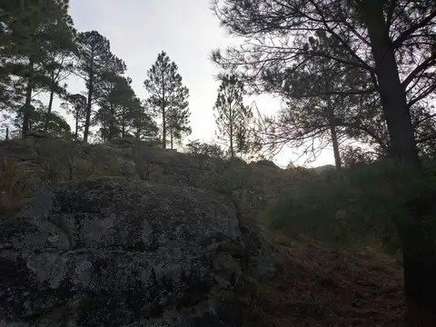Terreno en Venta de 5834,0 m2