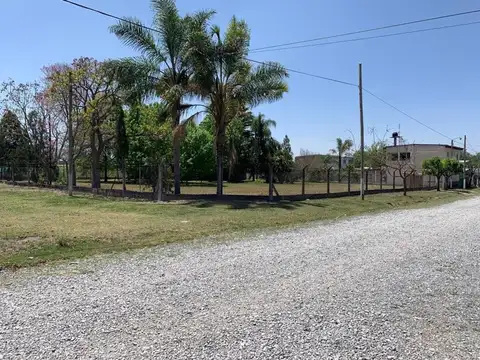 Araoz Avelino, La Silleta 355