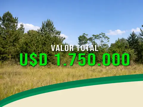 Campo en Venta de 549  ha