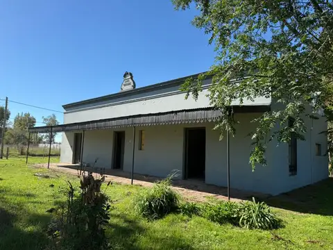 Goyena 100