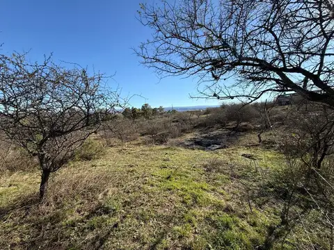 Terreno en Venta en Villa Santa Cruz del Lago, USD 15.500