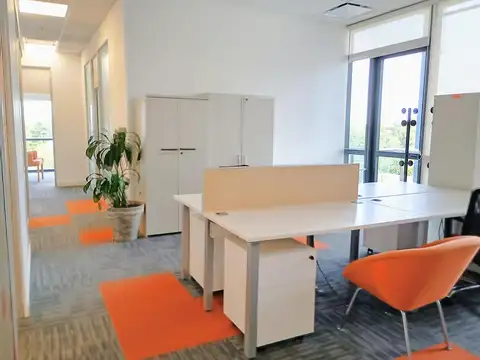 Oficina en Alquiler A Estrenar