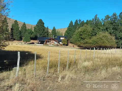 Campo  en venta de 5300 has en Bariloche, Ovejero y Vacuno