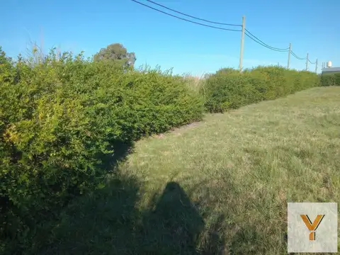 Terreno en Venta 42  mts Fondo