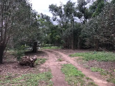 Terreno en Venta en Villa Elena, USD 135.000