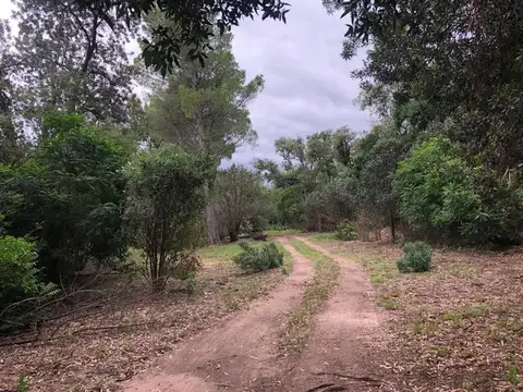 Terreno en Venta de 4000,0 m2