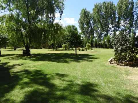 INVERSIÓN TURÍSTICA Y DESARROLLO 5 has San Rafael