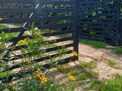 Juan Bautista Alberdi 900