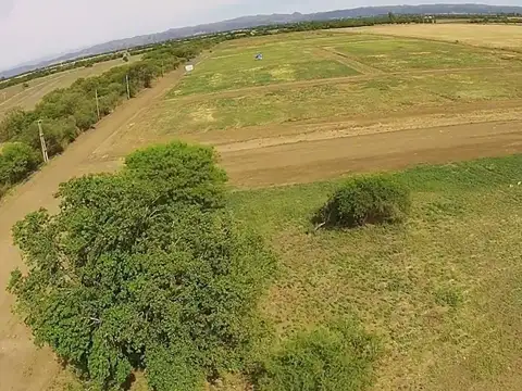 Terreno en Venta de 251,0 m2