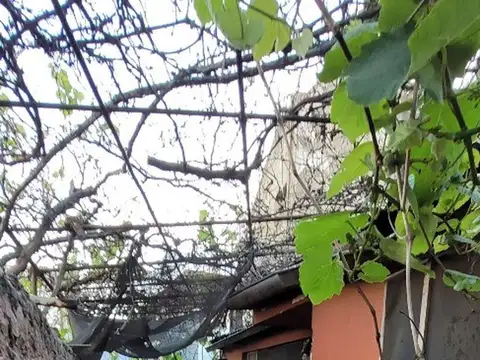 Terreno en Venta, FOT 2