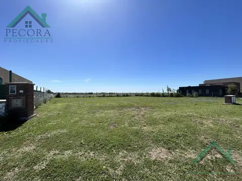 San Sebastian - Area 13 - Lote 558