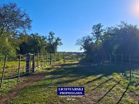 Campo en Venta de 100  ha